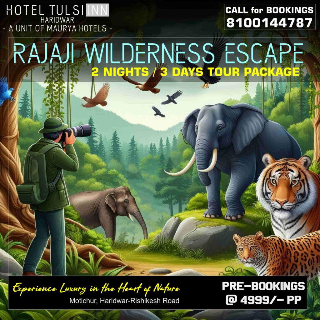 Rajaji Wildlife Jungle Safari, tiger tour Haridwar, Motichur range safari, hotel Tulsi Inn Haridwar, wildlife adventure Rajaji park, jungle safari near Tulsi Inn, tiger spotting Rajaji reserve, safari tour Motichur range, hotel Tulsi Inn jungle stay, Haridwar wildlife experience, Rajaji national park tiger tour, Motichur range safari adventure, Haridwar Tulsi Inn nature stay, wildlife safari Rajaji park Haridwar, Rajaji tiger tour from Tulsi Inn